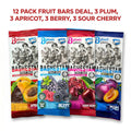 Baghestan Fruit Bar Variety Bundle – 12-Pack Artisanal Orchard Treats (Apricot, Berry, Sourcherry & Plum - 3 PIECE EACH - 12 INCH LARGE SIZE )