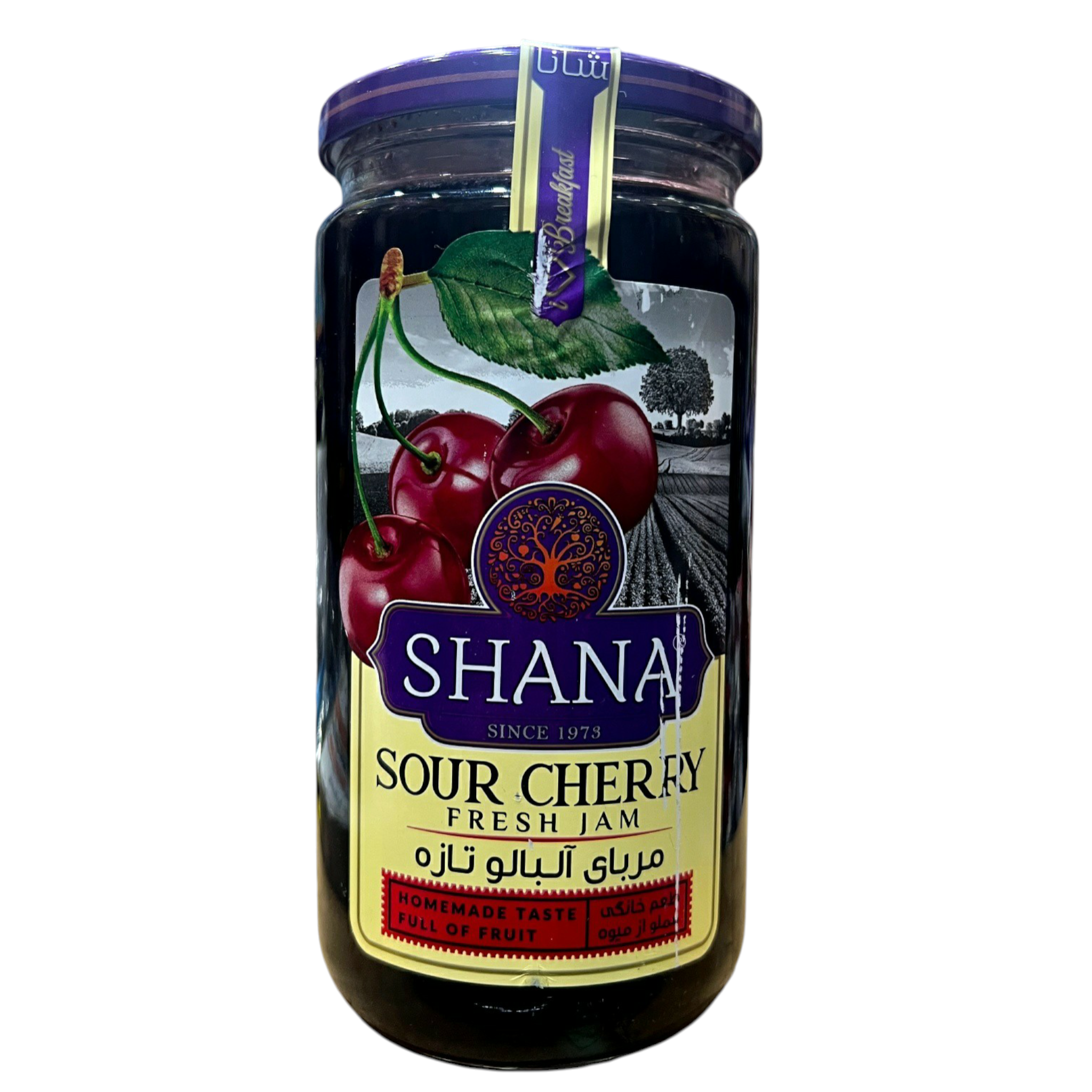Breakfast Duo Bundle – 2-Pack Set: Willie Cream Cheese (200 G) + Shana Sour Cherry Jam (280g)