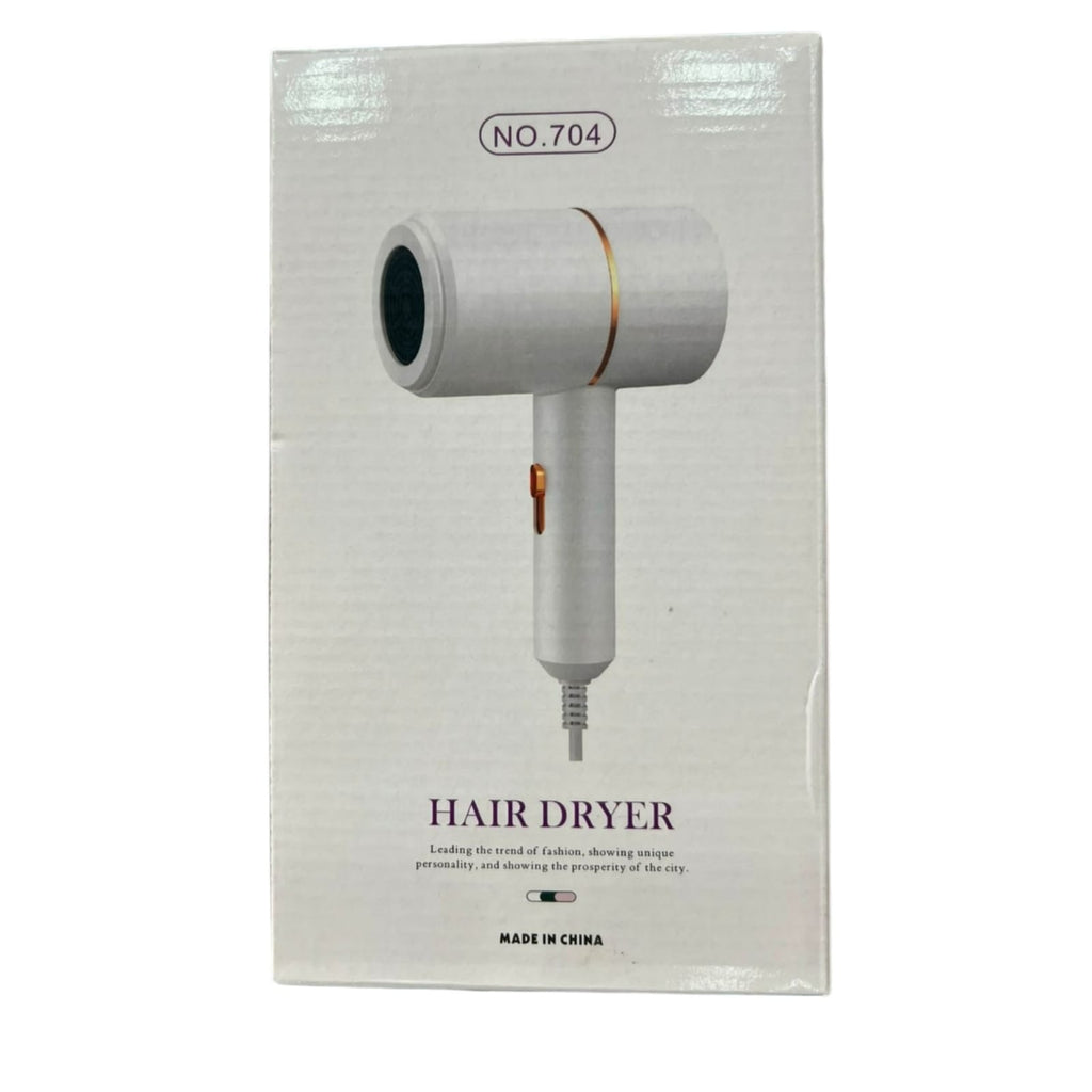 Model 704 Minimalist Salon Hair Dryer – Constant Temperature & Low Noise Blow Dryer