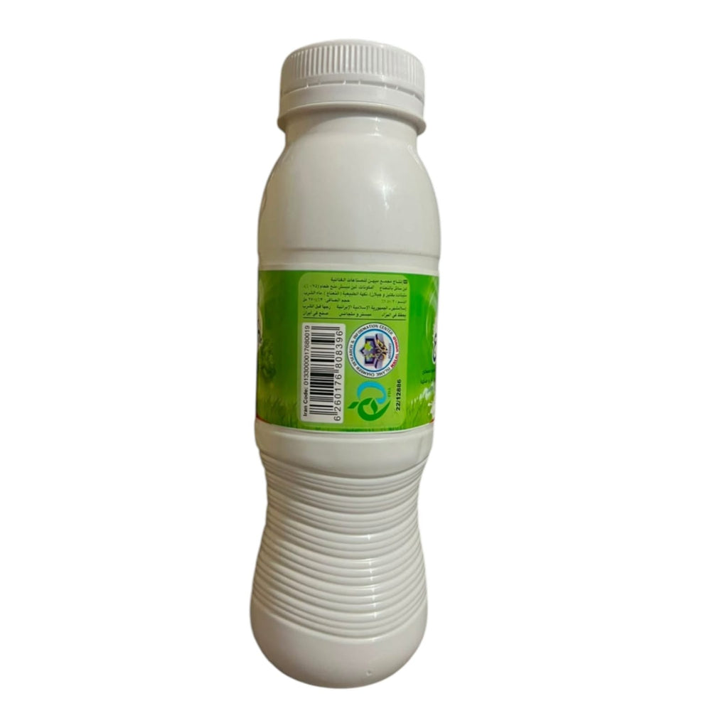 Mihan Premium Mint Doogh Yogurt Drink – Authentic Persian Non-Carbonated Savory Dairy Beverage (270ml Bottle - Pack of 4) 1L+